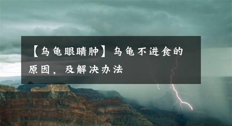 【乌龟眼睛肿】乌龟不进食的原因，及解决办法