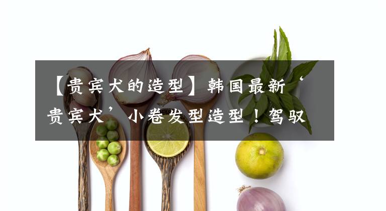 【贵宾犬的造型】韩国最新‘贵宾犬’小卷发型造型！驾驭不好秒变欧巴桑