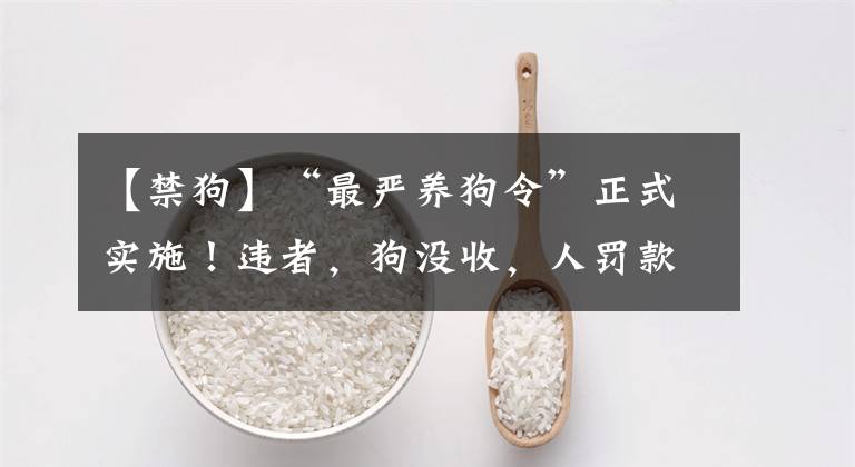 【禁狗】“最严养狗令”正式实施！违者，狗没收，人罚款