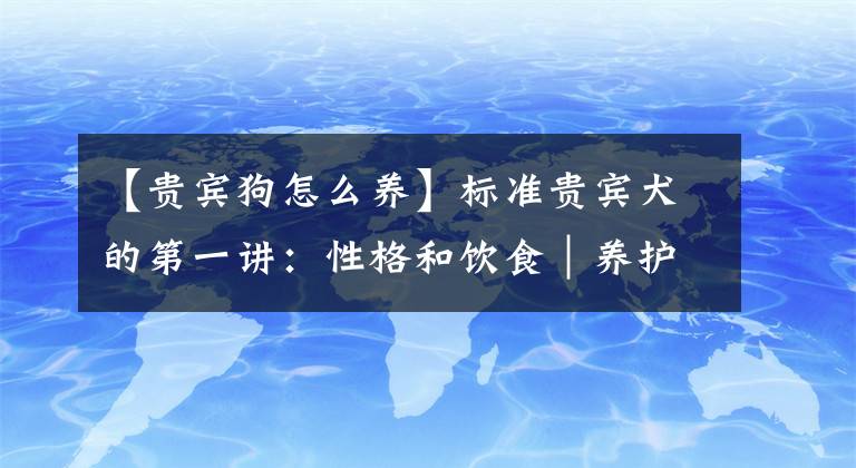 【贵宾狗怎么养】标准贵宾犬的第一讲：性格和饮食｜养护