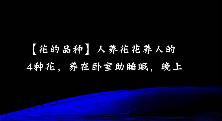 【花的品种】人养花花养人的4种花，养在卧室助睡眠，晚上睡得香