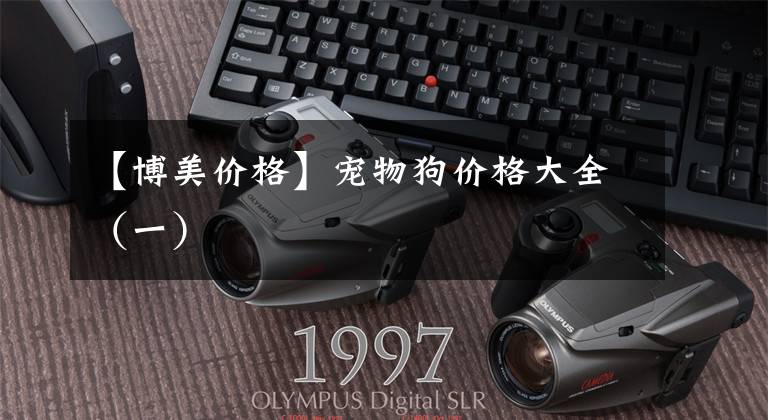 【博美价格】宠物狗价格大全（一）