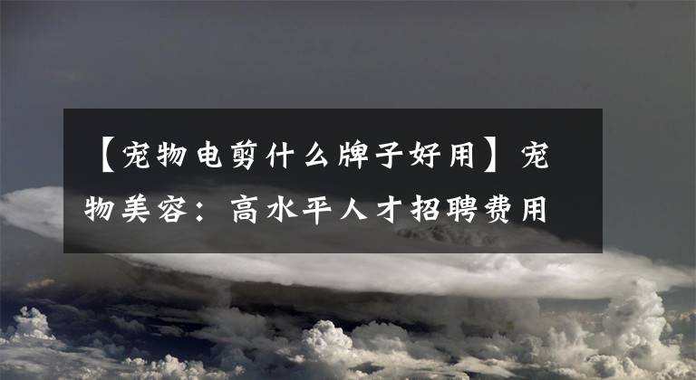 【宠物电剪什么牌子好用】宠物美容：高水平人才招聘费用增加了一倍