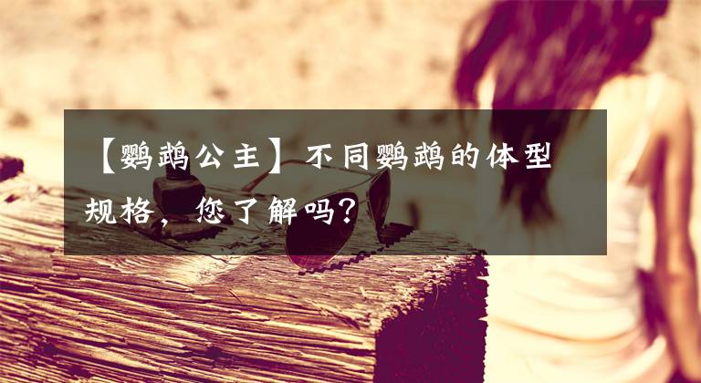 【鹦鹉公主】不同鹦鹉的体型规格，您了解吗？
