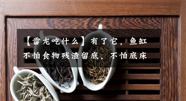 【雷龙吃什么】有了它，鱼缸不怕食物残渣留底，不怕底床腐臭，能观赏又实用