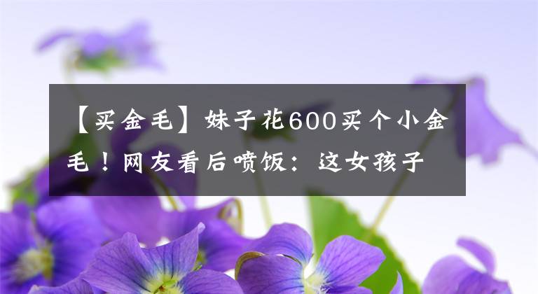 【买金毛】妹子花600买个小金毛！网友看后喷饭：这女孩子真单纯啊