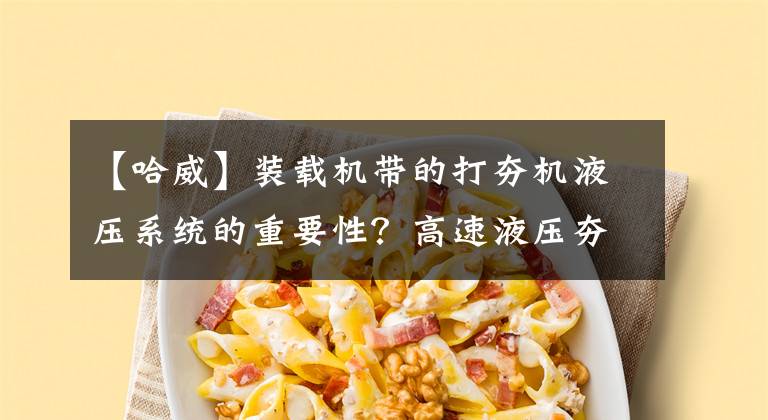 【哈威】装载机带的打夯机液压系统的重要性？高速液压夯实机原件选择
