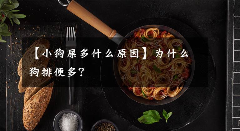 【小狗屎多什么原因】为什么狗排便多？
