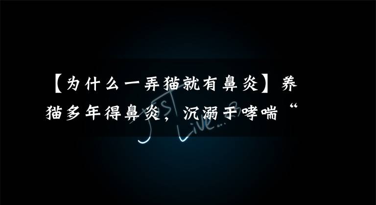 【为什么一弄猫就有鼻炎】养猫多年得鼻炎，沉溺于哮喘“吸猫”有健康的危险