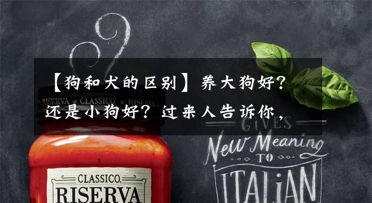 【狗和犬的区别】养大狗好？还是小狗好？过来人告诉你，差距真的很大