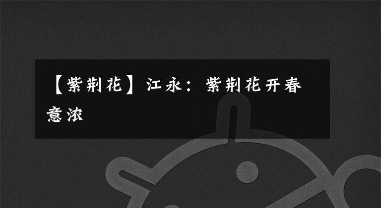 【紫荆花】江永：紫荆花开春意浓