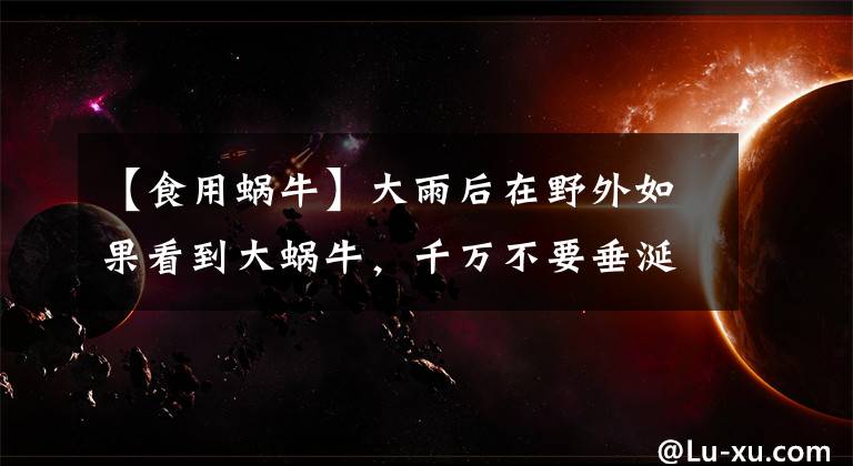 【食用蜗牛】大雨后在野外如果看到大蜗牛，千万不要垂涎欲滴，连碰都别碰