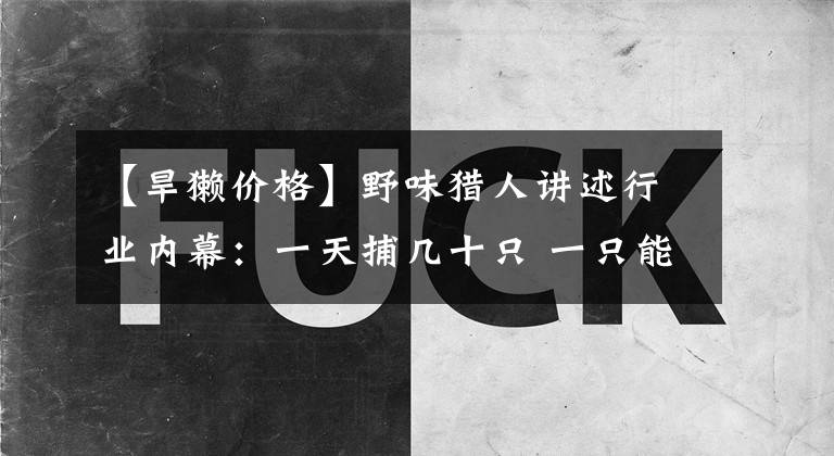 【旱獭价格】野味猎人讲述行业内幕：一天捕几十只 一只能赚千元