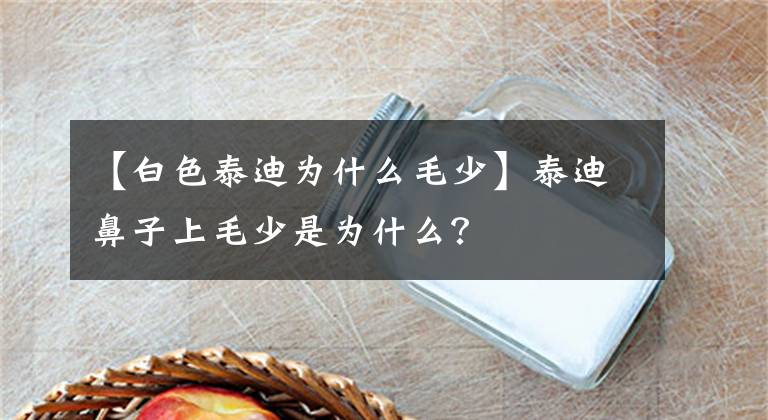【白色泰迪为什么毛少】泰迪鼻子上毛少是为什么？