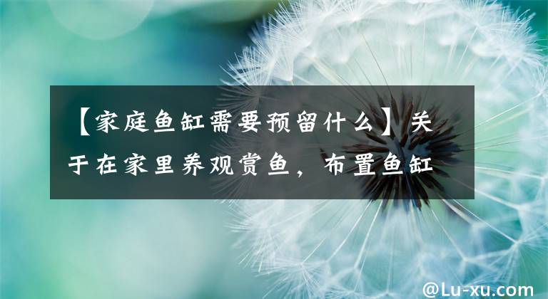 【家庭鱼缸需要预留什么】关于在家里养观赏鱼，布置鱼缸的两个实用提示。