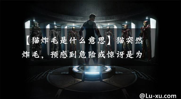 【猫炸毛是什么意思】猫突然炸毛，预感到危险或惊讶是为什么？