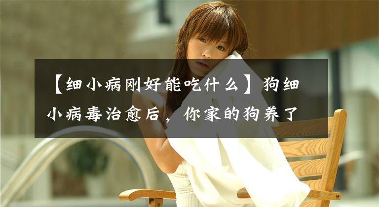 【细小病刚好能吃什么】狗细小病毒治愈后，你家的狗养了吗？(纯文本)