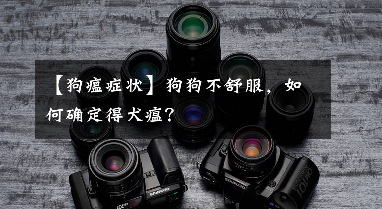 【狗瘟症状】狗狗不舒服，如何确定得犬瘟？