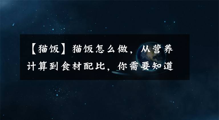 【猫饭】猫饭怎么做，从营养计算到食材配比，你需要知道的都在这里！