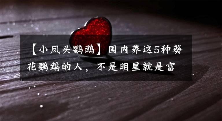 【小凤头鹦鹉】国内养这5种葵花鹦鹉的人，不是明星就是富二代，一般人买不起