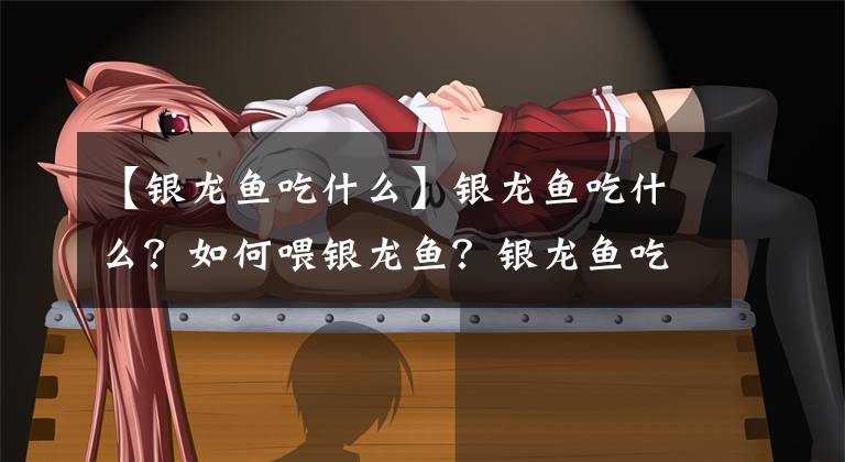 【银龙鱼吃什么】银龙鱼吃什么？如何喂银龙鱼？银龙鱼吃什么长得快？