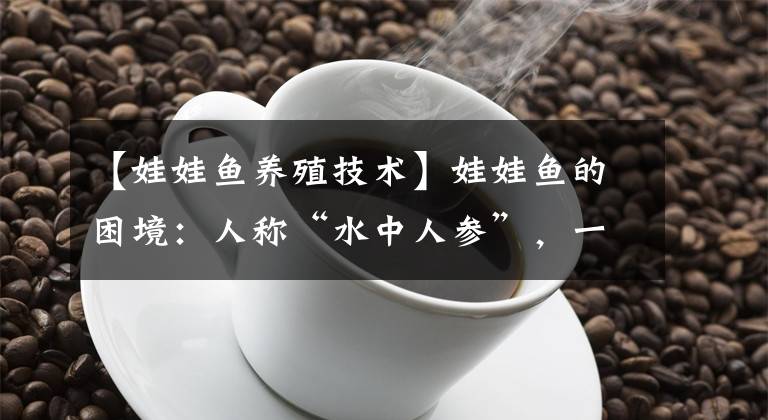 【娃娃鱼养殖技术】娃娃鱼的困境：人称“水中人参”，一斤 2000到烂大街，经历了什么