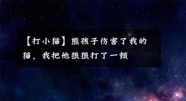 【打小猫】熊孩子伤害了我的猫，我把他狠狠打了一顿