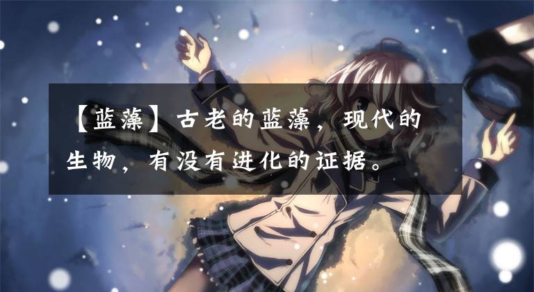 【蓝藻】古老的蓝藻，现代的生物，有没有进化的证据。