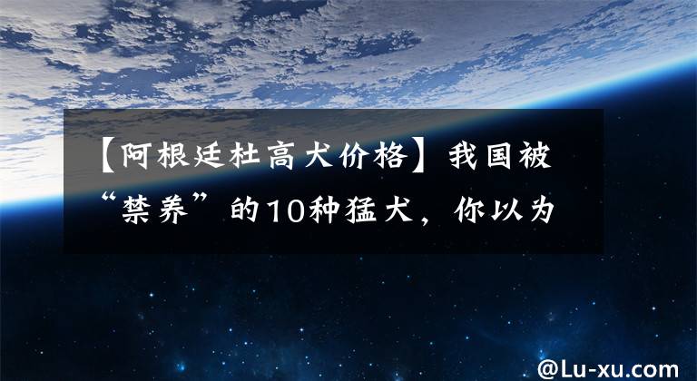 【阿根廷杜高犬价格】我国被“禁养”的10种猛犬，你以为藏獒的战斗力真的很弱吗？