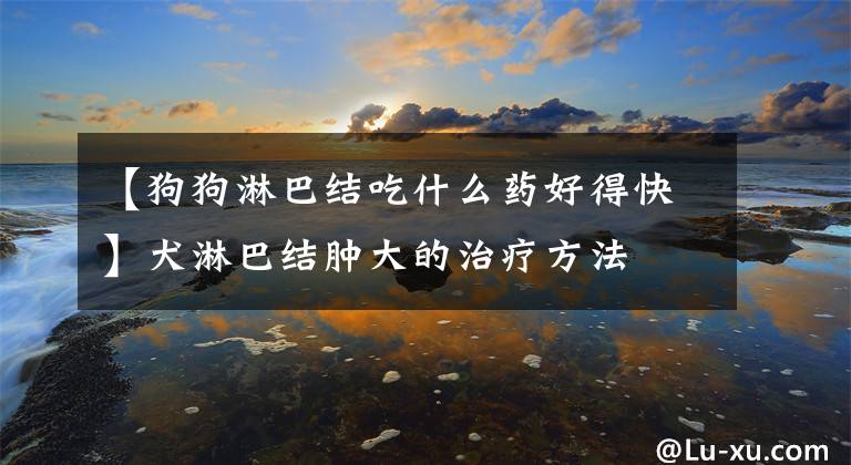 【狗狗淋巴结吃什么药好得快】犬淋巴结肿大的治疗方法