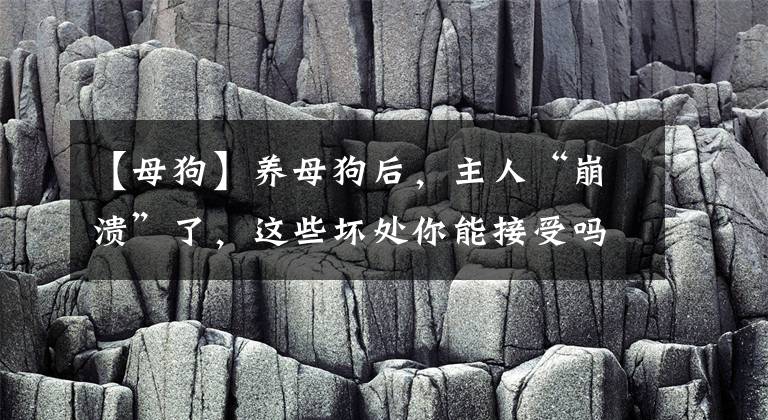 【母狗】养母狗后，主人“崩溃”了，这些坏处你能接受吗？
