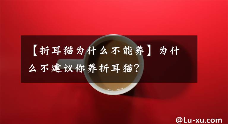 【折耳猫为什么不能养】为什么不建议你养折耳猫？