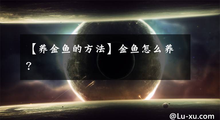 【养金鱼的方法】金鱼怎么养？