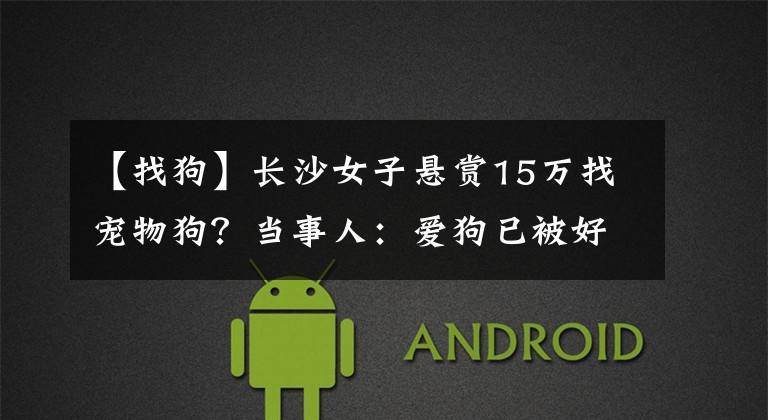 【找狗】长沙女子悬赏15万找宠物狗？当事人：爱狗已被好心人送医，我们一定会支付酬金