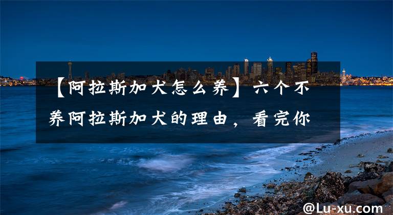 【阿拉斯加犬怎么养】六个不养阿拉斯加犬的理由，看完你还会心动吗？