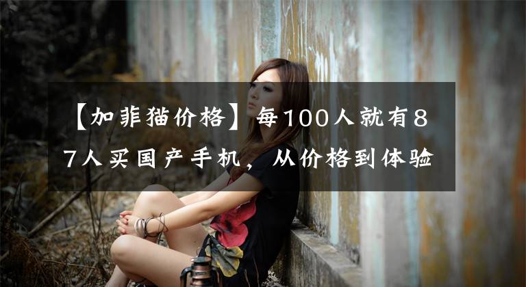【加菲猫价格】每100人就有87人买国产手机，从价格到体验，优势在哪里？