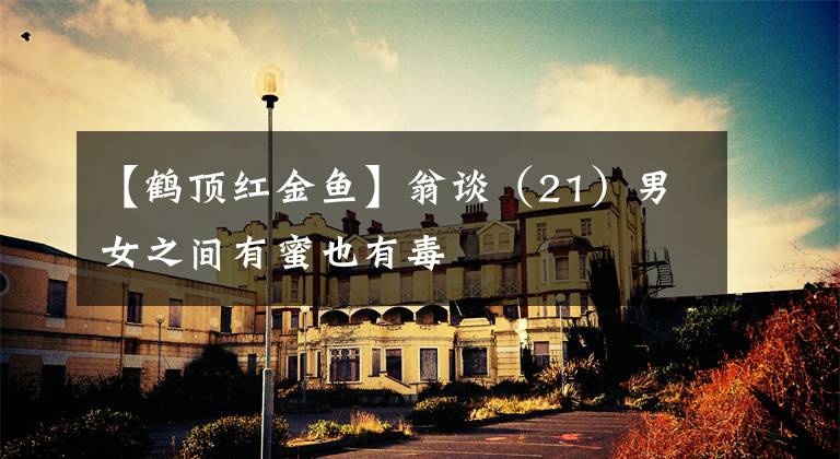 【鹤顶红金鱼】翁谈（21）男女之间有蜜也有毒