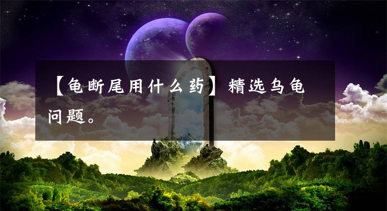 【龟断尾用什么药】精选乌龟问题。