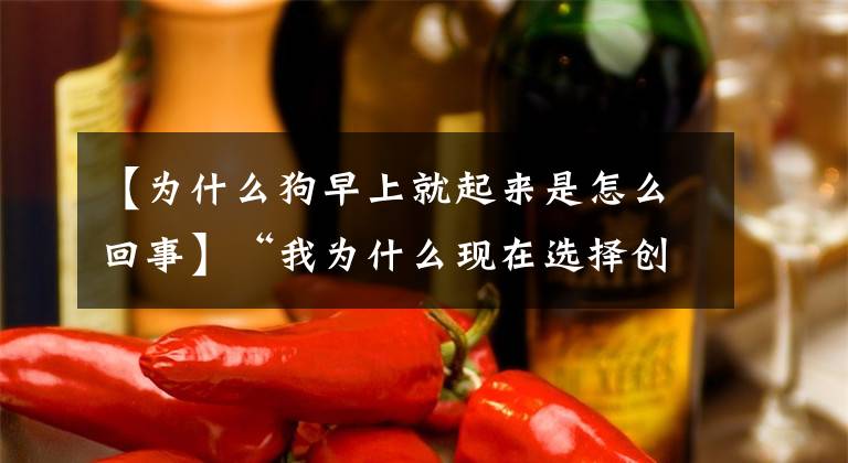 【为什么狗早上就起来是怎么回事】“我为什么现在选择创业？”