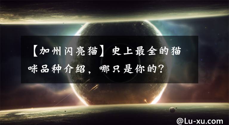 【加州闪亮猫】史上最全的猫咪品种介绍，哪只是你的？