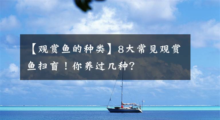 【观赏鱼的种类】8大常见观赏鱼扫盲！你养过几种？