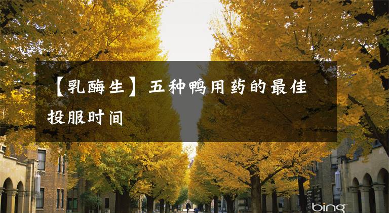 【乳酶生】五种鸭用药的最佳投服时间