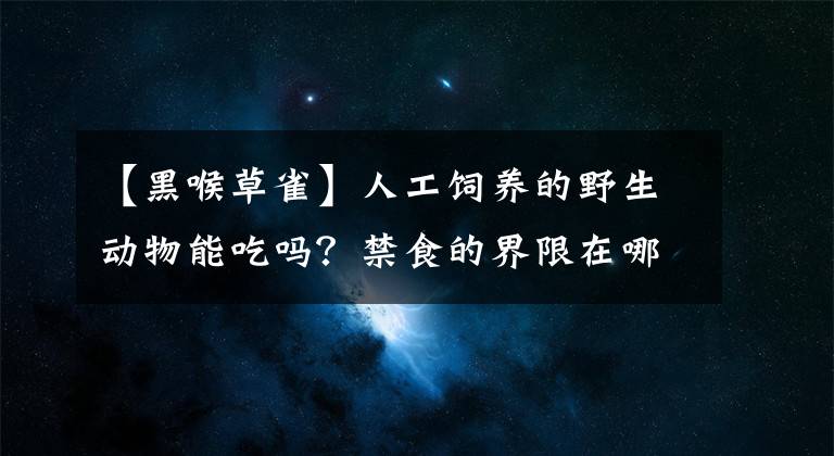 【黑喉草雀】人工饲养的野生动物能吃吗？禁食的界限在哪？