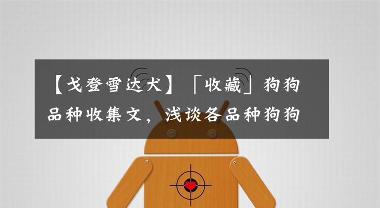 【戈登雪达犬】「收藏」狗狗品种收集文，浅谈各品种狗狗及图片大全（中）！