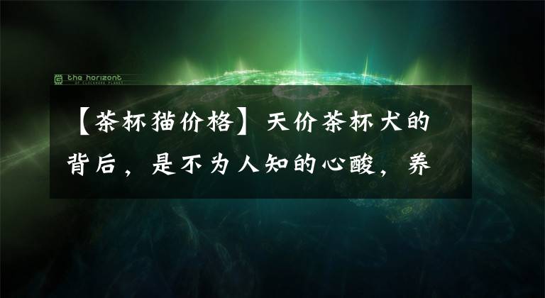 【茶杯猫价格】天价茶杯犬的背后，是不为人知的心酸，养它请三思！