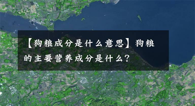 【狗粮成分是什么意思】狗粮的主要营养成分是什么？
