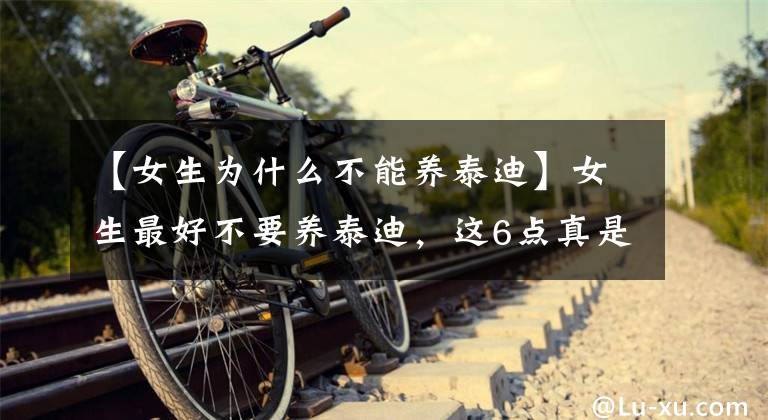 【女生为什么不能养泰迪】女生最好不要养泰迪，这6点真是没人能受得了，真是无语