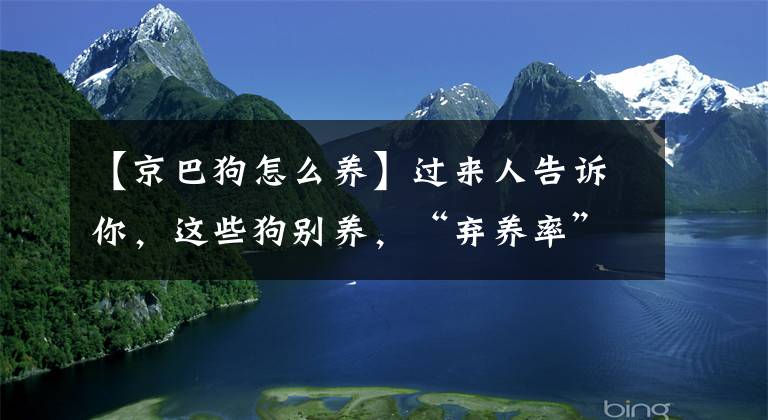 【京巴狗怎么养】过来人告诉你，这些狗别养，“弃养率”太高了