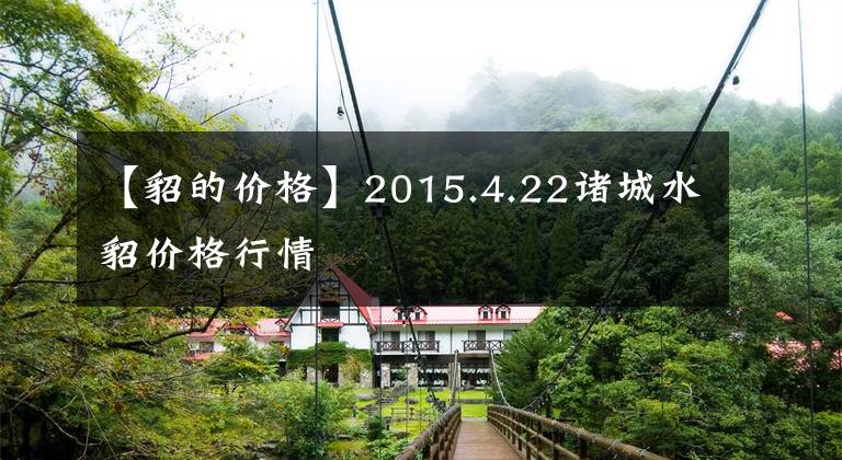 【貂的价格】2015.4.22诸城水貂价格行情