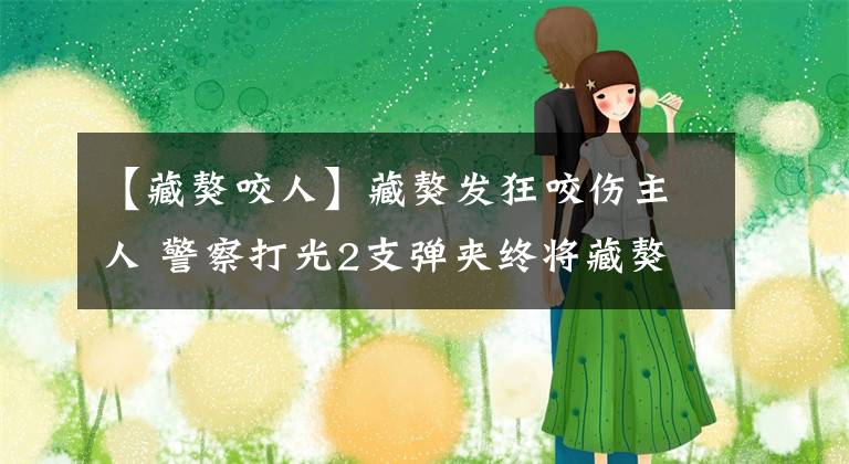 【藏獒咬人】藏獒发狂咬伤主人 警察打光2支弹夹终将藏獒击毙
